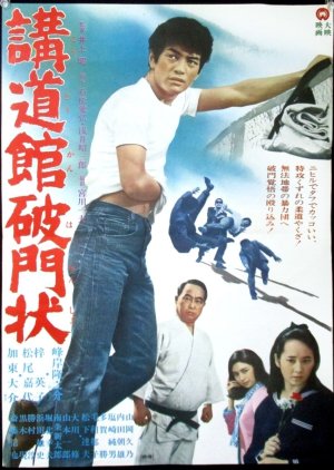 The Violent Judorist (1969) poster