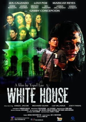 White House (2010) poster