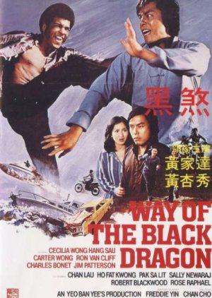 Way of the Black Dragon (1978) poster