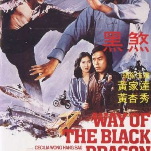 Way of the Black Dragon (1978)