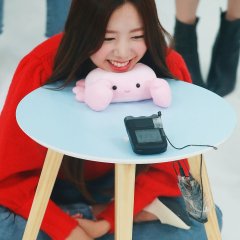 Apink Amigo TV Korean TV Program photo