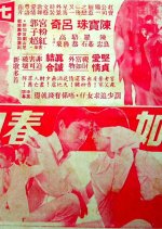 Her Tender Love Hong Kong Movie photo