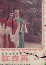 The Reincarnation of Lady Plum Blossom