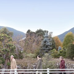 Seeing Nara Again Chinese Movie photo