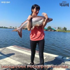 Legendary Big Fish Korean TV Program photo