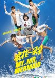 My Mr. Mermaid chinese drama review