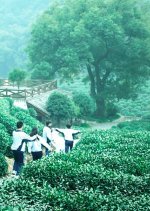 The South City Chinese Movie photo