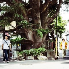 Something Like, Something Like It Japanese Movie photo