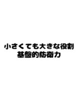 Chiisakutemo Ookina Yakuwari: Kiban Teki Boueiryoku