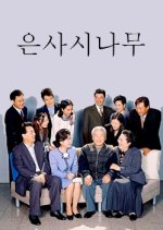 The Aspen Tree Korean Drama photo