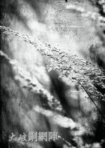 Breaking Through the Bronze Net Hong Kong Movie photo