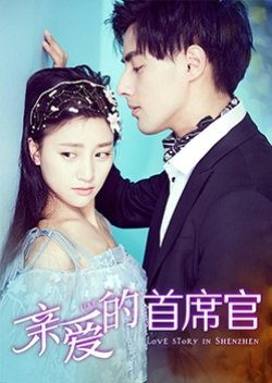 Love Story In Shenzhen (2019) poster