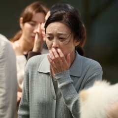 Drama Special Season 12: TV Cinema - F20 Korean Drama photo