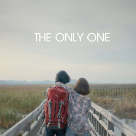 The Only One (2016)