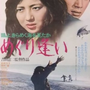 Kamome yo, Kirameku Umi o Mita ka Meguri ai (1975)
