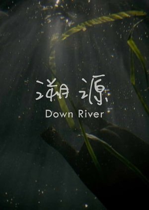 Down River (2016) poster