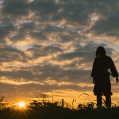 Ninja Girl Japanese Movie photo