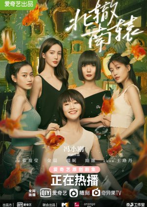 Bei Zhe Nan Yuan (2021) poster