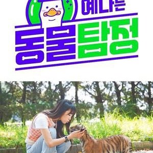 Ye Na's Animal Detective (2021)