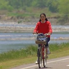 The Professor's Beloved Equation Japanese Movie photo