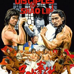 Disciples of Shaolin Hong Kong Movie photo