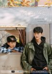 Cherry Blossoms after Winter korean drama review