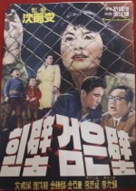 White Wall and Black Wall Korean Movie photo