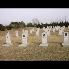 Aftermath Korean Movie(2021) photo