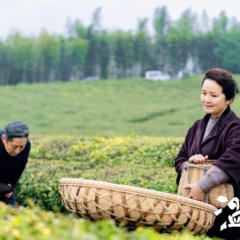 Going Rural Chinese Drama photo
