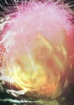 Ten Japanese Movie(2017) photo