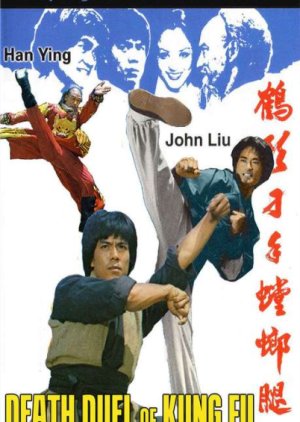 Death Duel of Kung Fu (1979) poster