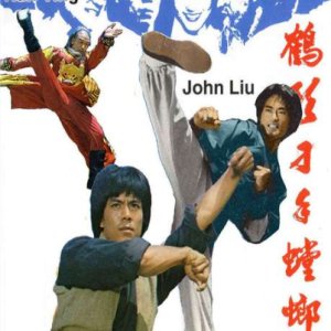 Death Duel of Kung Fu (1979)