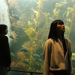 Strangers Japanese Movie(2022) photo