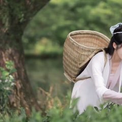 The Young Master and the Tea-Picking Girl Chinese Movie photo