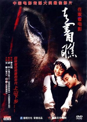 A Tale of Two Donkeys (2008) poster
