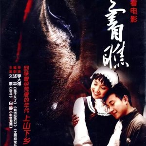 A Tale of Two Donkeys (2008)
