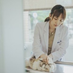 Fluffy Love Taiwanese Drama photo