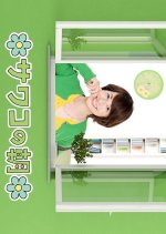 Sawako no Asa Japanese TV Program photo