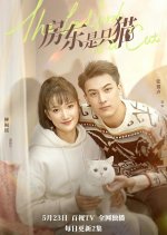 The Landlord Is a Cat Chinese Drama photo