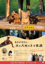 洋書  CATS life 洋書 CATS life