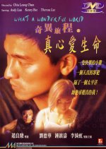 What a Wonderful World Hong Kong Movie(1996) photo