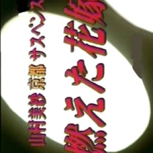 Yamamura Misa Suspense: Kieta Hanayome (1999)