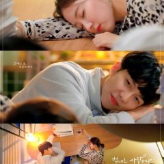 The Law Cafe Korean Drama photo