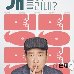 Dog Knows Everything Korean Drama photo