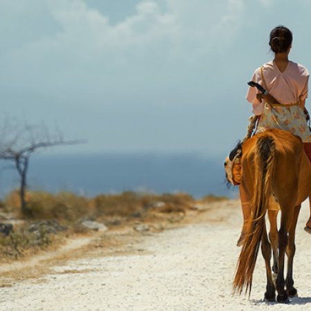 Marlina the Murderer in Four Acts (2017)