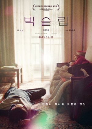 Big Sleep (2022) poster