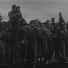 The Burmese Harp Japanese Movie(1956) photo