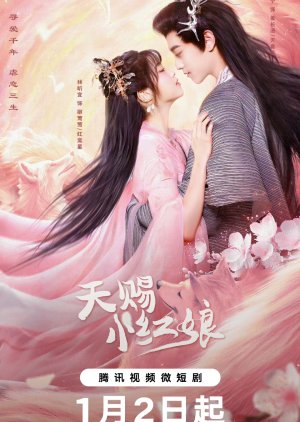 Tian Ci Xiao Hong Niang (2024) poster