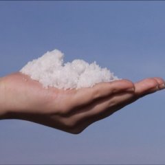 Harmonics Minyoung Japanese Movie photo