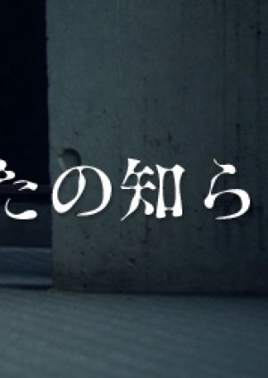 Shin Anata no Siranai Sekai (2011) poster